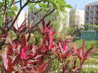 廣西科技師范學院來賓校區(qū)2023年招生辦聯(lián)系電話