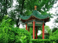 西安翻譯師范學院2023年招生錄取分數線