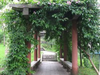 重慶市工業(yè)幼師學(xué)校2023年招生計劃