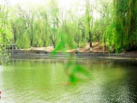 燕山大學師范學院2023年排名
