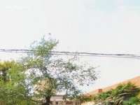 西安職業(yè)中等幼師專業(yè)學(xué)校2023年報名條件、招生要求、招生對象