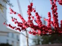 山東威海藝術(shù)幼兒師范學(xué)校2023年學(xué)費(fèi)、收費(fèi)多少