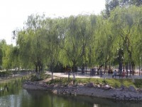 新鄉(xiāng)工程師范學(xué)院2023年學(xué)費(fèi)、收費(fèi)多少