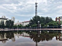 泊頭職業(yè)師范學院歷年錄取分數(shù)線
