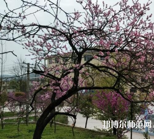 貴陽中華幼師職業(yè)學(xué)校2023年怎么樣、好不好