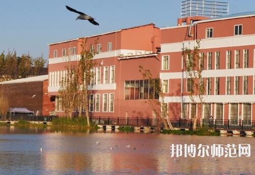 師范網1
