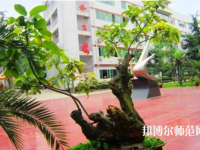 成都實驗商貿幼兒師范管理學校2023年招生辦聯(lián)系電話