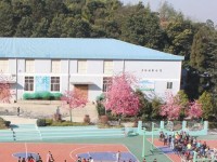 云南林業(yè)幼兒師范高級技工學校2023年學費、收費多少