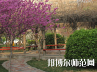 鄭州2020年幼師學(xué)?？梢詫W(xué)什么