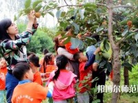 寧波2020年幼師學校需要多少分