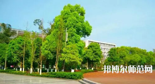 重慶市九龍坡幼師職業(yè)教育中心怎么樣、好不好。