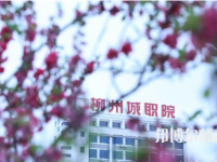 柳州城市職業(yè)師范學(xué)院2023年怎么樣、好不好
