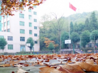 貴州師范大學(xué)求是學(xué)院2023年招生錄取分?jǐn)?shù)線(xiàn)