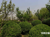 西安2021年女生上幼師學(xué)校學(xué)什么專(zhuān)業(yè)好