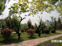 西安2021年幼師學(xué)校哪個專業(yè)好