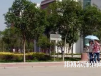 商丘職業(yè)技術師范學院2023年招生代碼