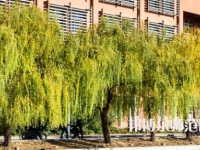 鄭州大學(xué)師范學(xué)院南校區(qū)2023年有哪些專(zhuān)業(yè)