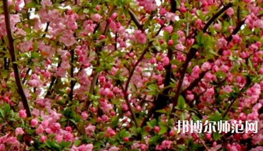 鄭州大學師范學院南校區(qū)2023年怎么樣、好不好