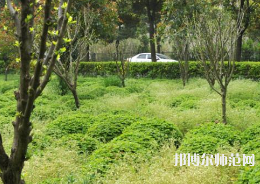 駐馬店師范職業(yè)技術(shù)學院2023年報名條件、招生要求、招生對象