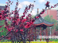駐馬店師范職業(yè)技術(shù)學(xué)院2023年報(bào)名條件、招生要求、招生對(duì)象