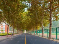 聊城師范大學(xué)東昌學(xué)院2023年報(bào)名條件、招生要求、招生對(duì)象