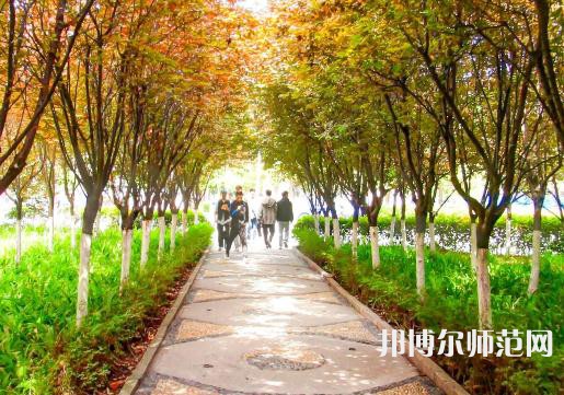 漢中職業(yè)技術(shù)師范學(xué)院2023年招生錄取分數(shù)線