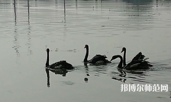 浙江師范大學(xué)行知學(xué)院蘭溪校區(qū)2023年怎么樣、好不好