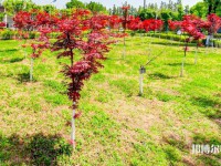 漢中職業(yè)技術(shù)師范學(xué)院2023年怎么樣、好不好