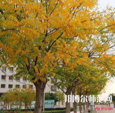 延川幼師職教中心2023年學(xué)費(fèi)、收費(fèi)多少