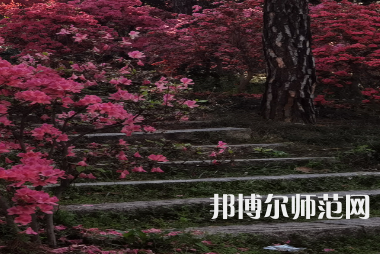 信陽師范學(xué)院華銳學(xué)院2023年報(bào)名條件、招生要求、招生對(duì)象