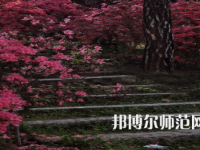 信陽師范學(xué)院華銳學(xué)院2023年報名條件、招生要求、招生對象