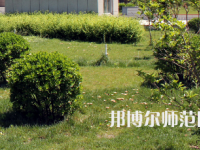 安陽(yáng)幼兒師范高等?？茖W(xué)校歷年招生錄取分?jǐn)?shù)線