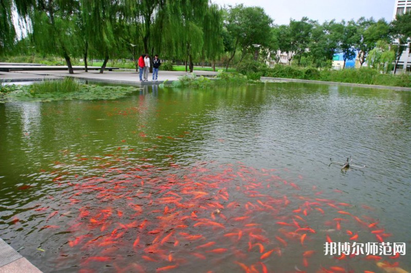 濰坊科技師范學(xué)院2023年怎么樣、好不好 