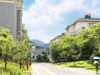 浙江特殊教育職業(yè)學(xué)院2023年是幾專