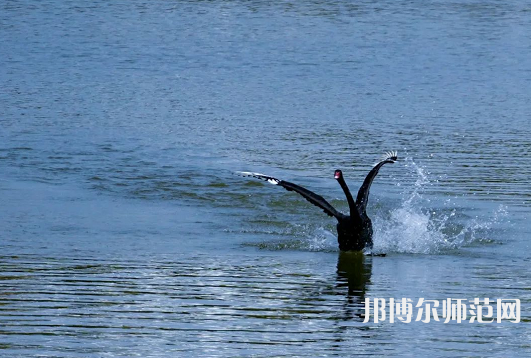 浙江師范大學(xué)2023年怎么樣、好不好
