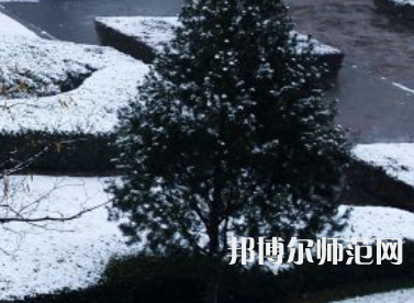 焦作師范高等專科學校2023年報名條件、招生要求、招生對象