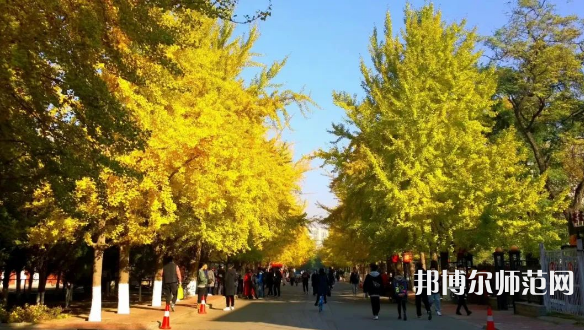 遼寧大學師范學院崇山校區(qū)2023年報名條件、招生要求、招生對象