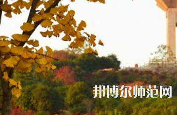 長沙理工師范大學(xué)金盆嶺校區(qū)2023年有哪些專業(yè)