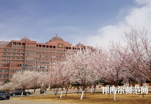 內(nèi)蒙古大學師范學院南校區(qū)2023年招生代碼