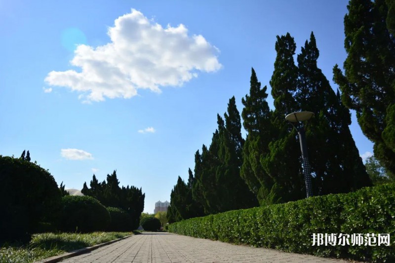 山東石油化工師范學(xué)院2023年報(bào)名條件、招生要求、招生對(duì)象 