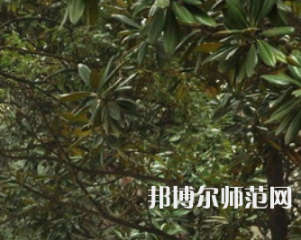 湖南師范大學(xué)樹達學(xué)院2023年學(xué)費、收費多少