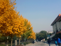 西北師范大學(xué)2023年怎么樣、好不好