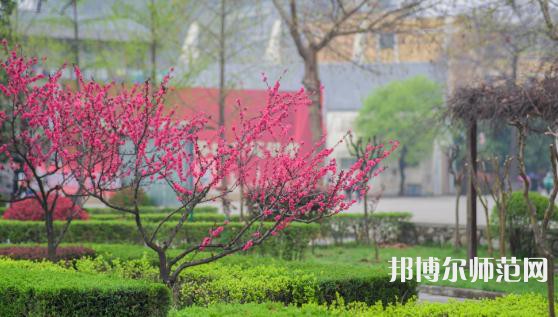西安城市建設(shè)師范職業(yè)學(xué)院2023年招生錄取分數(shù)線