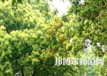 衡陽師范學(xué)院南岳學(xué)院2023年怎么樣、好不好