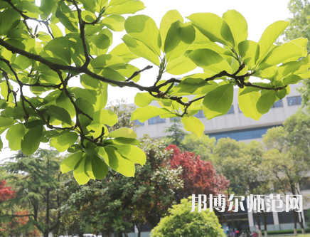 淮陰師范學院2023年有哪些專業(yè)