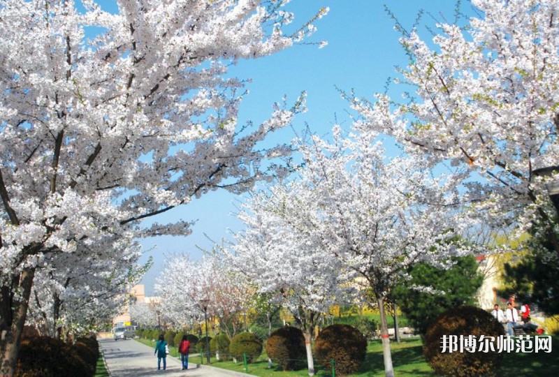 西安思源師范學(xué)院歷年招生錄取分數(shù)線