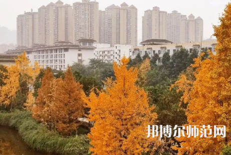 雅安職業(yè)技術(shù)師范學(xué)院2023年怎么樣、好不好