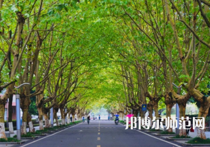 四川農(nóng)業(yè)師范大學雅安校區(qū)2023年怎么樣、好不好
