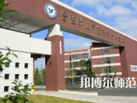 2023年合肥幼兒師范高等?？茖W(xué)校是民辦大學(xué)還是公辦