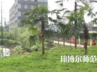 2023年瀘州天宇幼師中等職業(yè)技術(shù)學(xué)校報(bào)名條件、招生對(duì)象